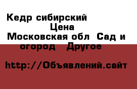 Кедр сибирский “Pinus sibirica“ › Цена ­ 1 500 - Московская обл. Сад и огород » Другое   